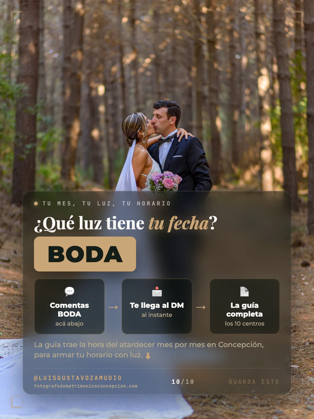 Cierre: Novia en el bosque con la cola entre los pinos. Comenta BODA para recibir la información. Matrimonios en Concepción.