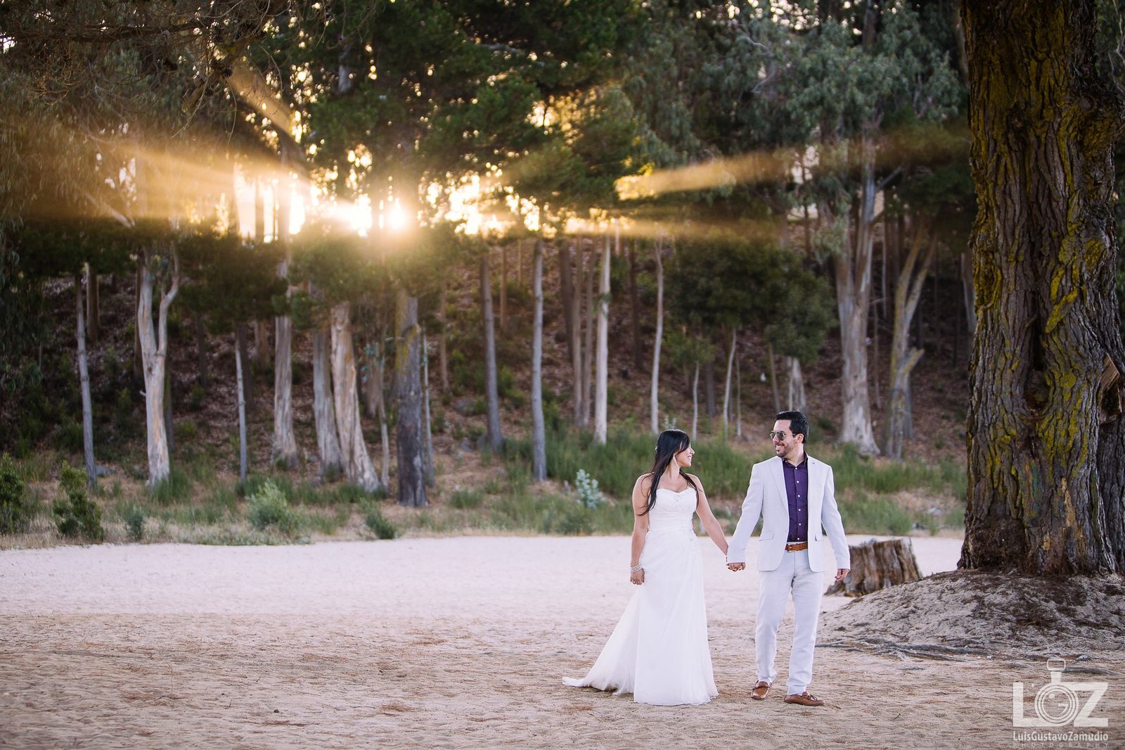 Novios caminando bajo guirnaldas encendidas entre los árboles, al atardecer