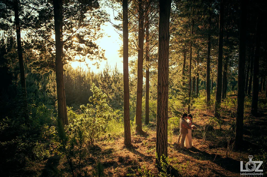 Pareja abrazada en un bosque al atardecer durante su sesión preboda en la Región del Biobío