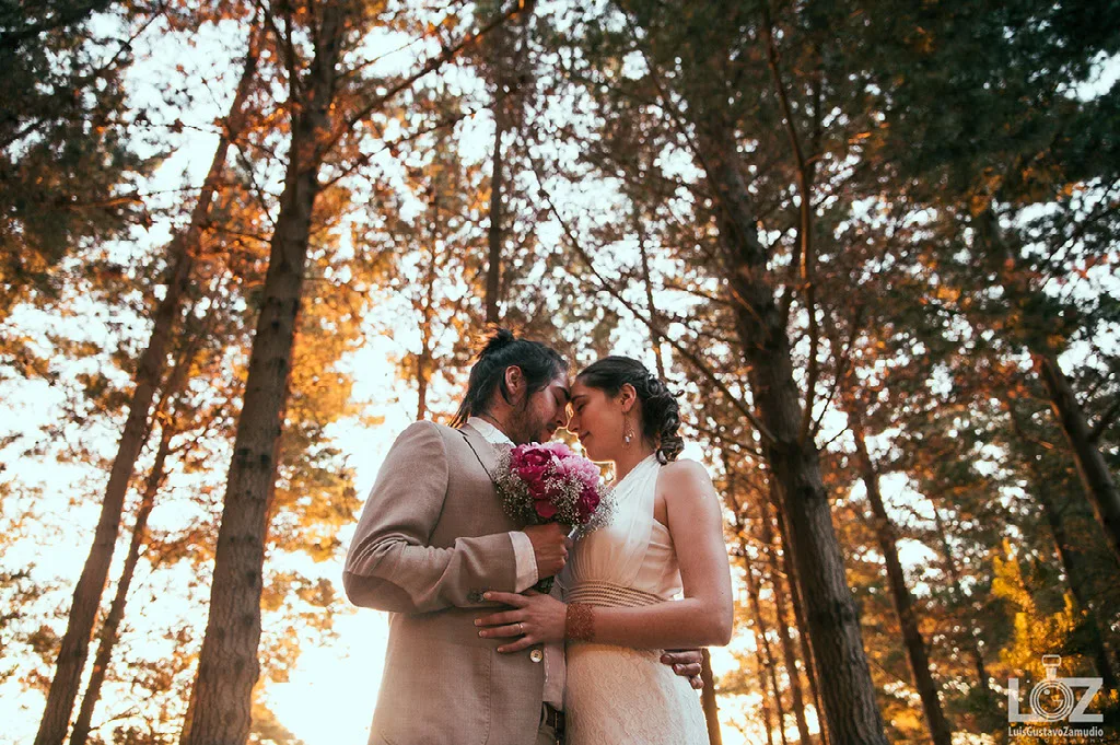 Beso de los novios entre los árboles con el sol del atardecer